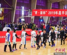 “育·新杯”小学篮球赛 孕育未来新希望